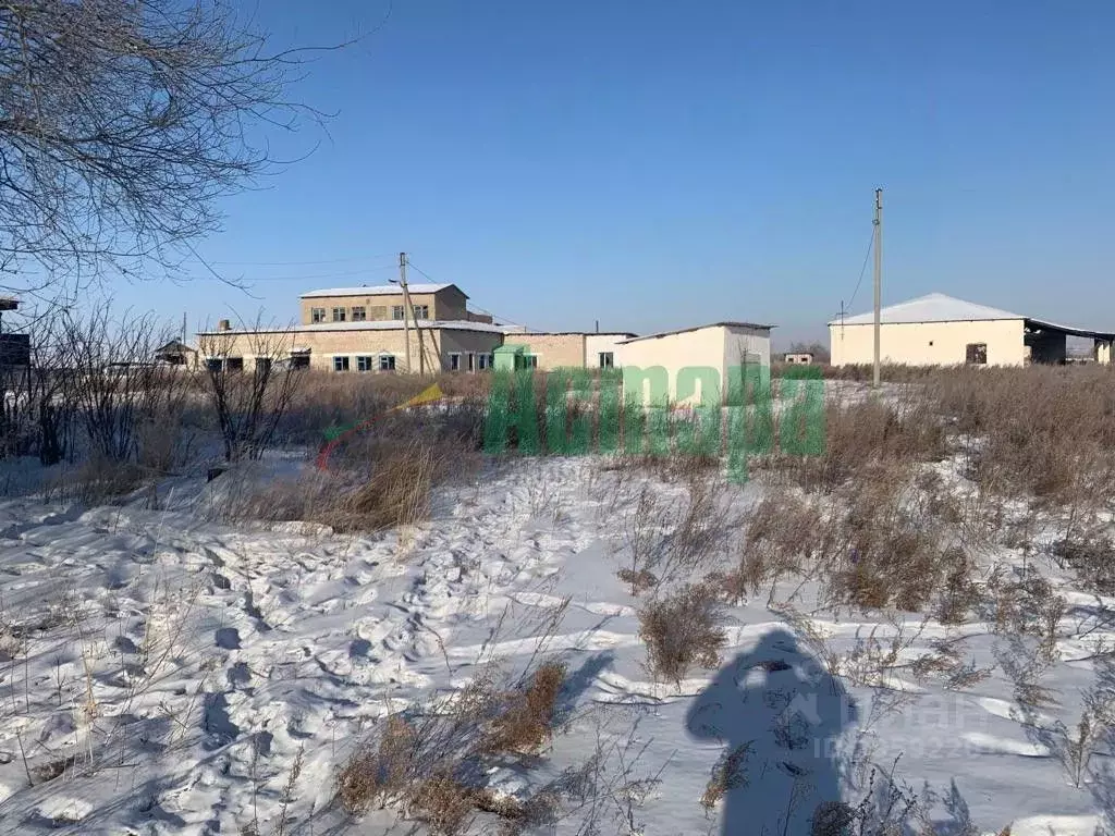 Помещение свободного назначения в Забайкальский край, Приаргунск пгт ... - Фото 1