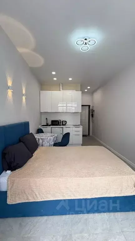 Студия Краснодарский край, Сочи ул. Ленина, 290/7 (23.0 м) - Фото 1