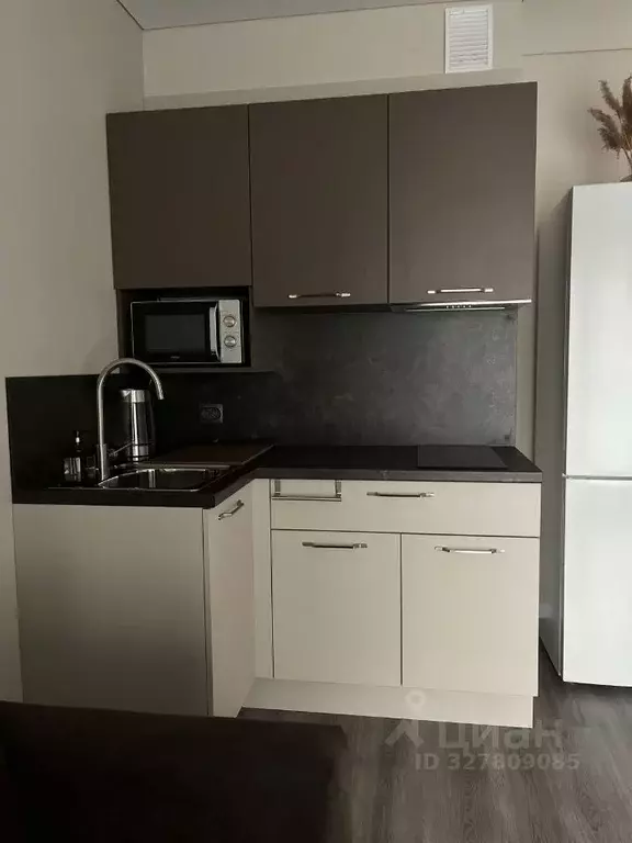 Студия Санкт-Петербург Дальневосточный просп., 23 (24.0 м) - Фото 2