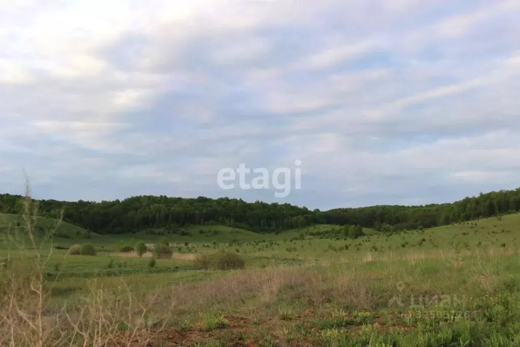 Участок в Мордовия, с. Лямбирь ул. Нижегородская (15.86 сот.) - Фото 1