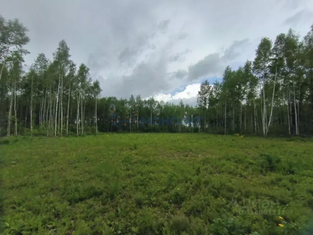 Участок в Нижегородская область, Чкаловск городской округ, д. Беседы 6 ... - Фото 1