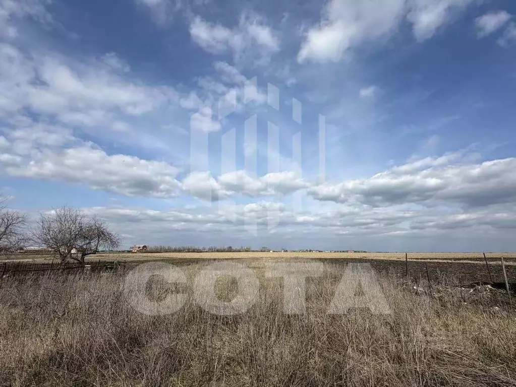 Участок в Воронежская область, Каширский район, Боевское с/пос, с. ... - Фото 1