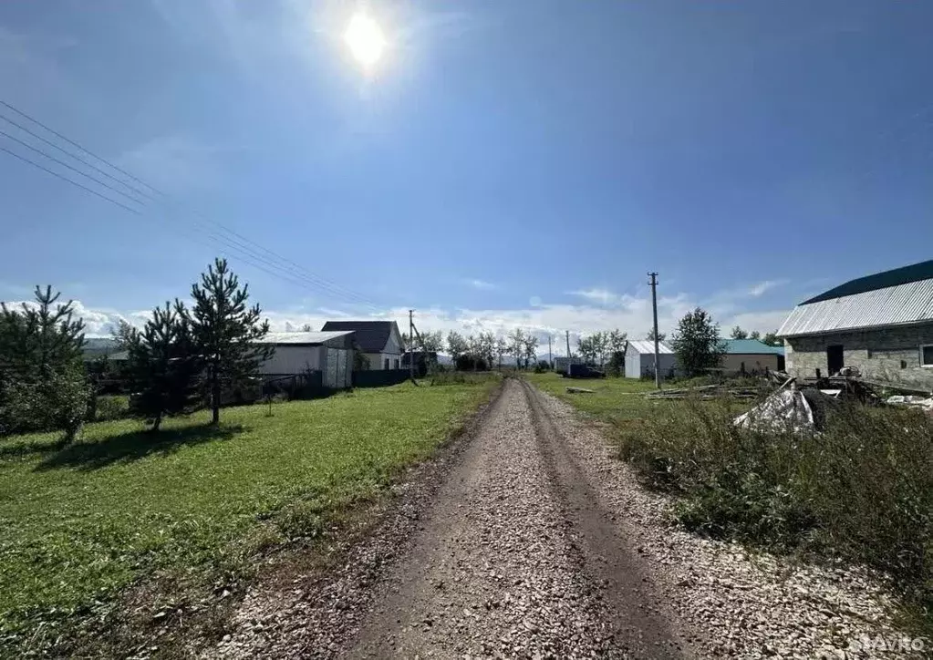 Участок в Алтайский край, Советский район, с. Платово Молодежная ул. ... - Фото 0