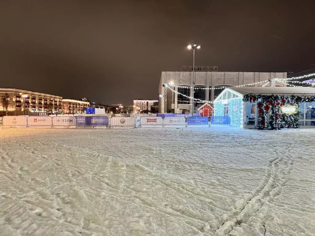 1-к кв. Пермский край, Пермь ул. Ленина, 80 (30.0 м) - Фото 2