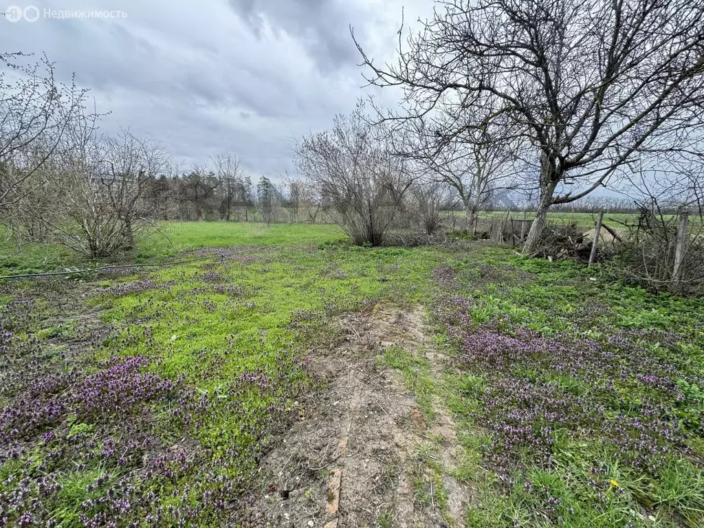 Участок в станица Гиагинская, улица Гагарина, 53 (22.56 м) - Фото 1