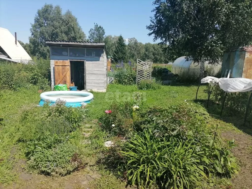 Участок в Кемеровская область, Кемеровский муниципальный округ, ... - Фото 1