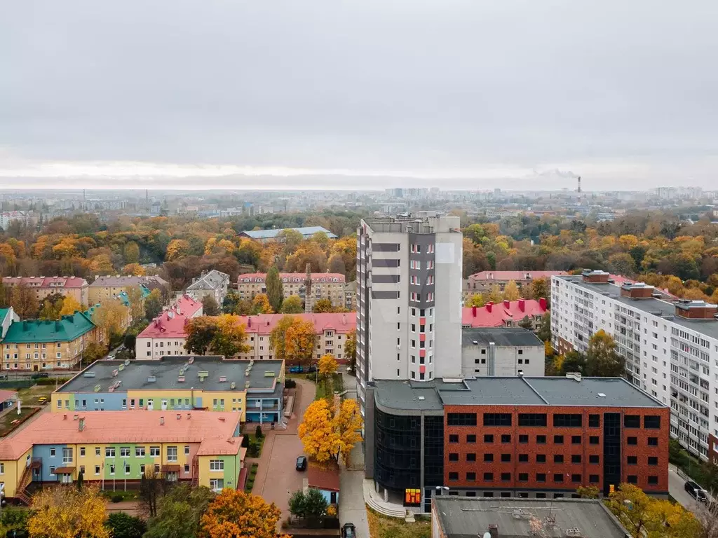 Свободного назначения, 54.6 м - Фото 1