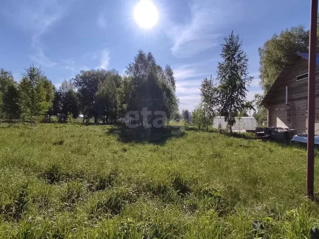 Участок в Новосибирская область, Новосибирский район, Кудряшовский ... - Фото 0
