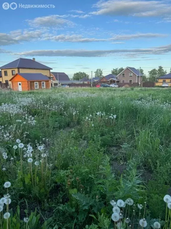 Участок в село Сокуры, улица Кургузкина (16.88 м) - Фото 0