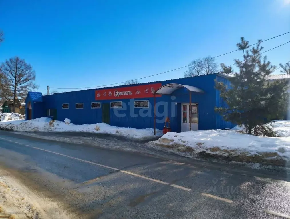 Торговая площадь в Московская область, Воскресенск городской округ, с. ... - Фото 1