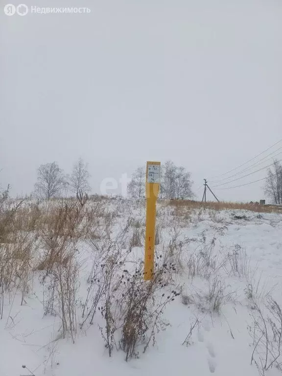 Участок в Челябинская область, Чебаркульский муниципальный округ, ... - Фото 1