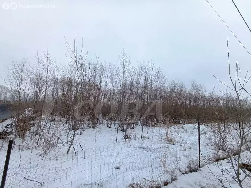 Участок в Тюмень, коттеджный посёлок Ольховка Парк (5 м) - Фото 0