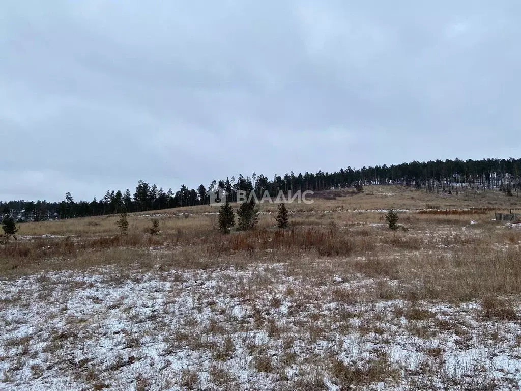 Участок в Бурятия, Иволгинский район, Сотниковское с/пос, с. Сотниково ... - Фото 2
