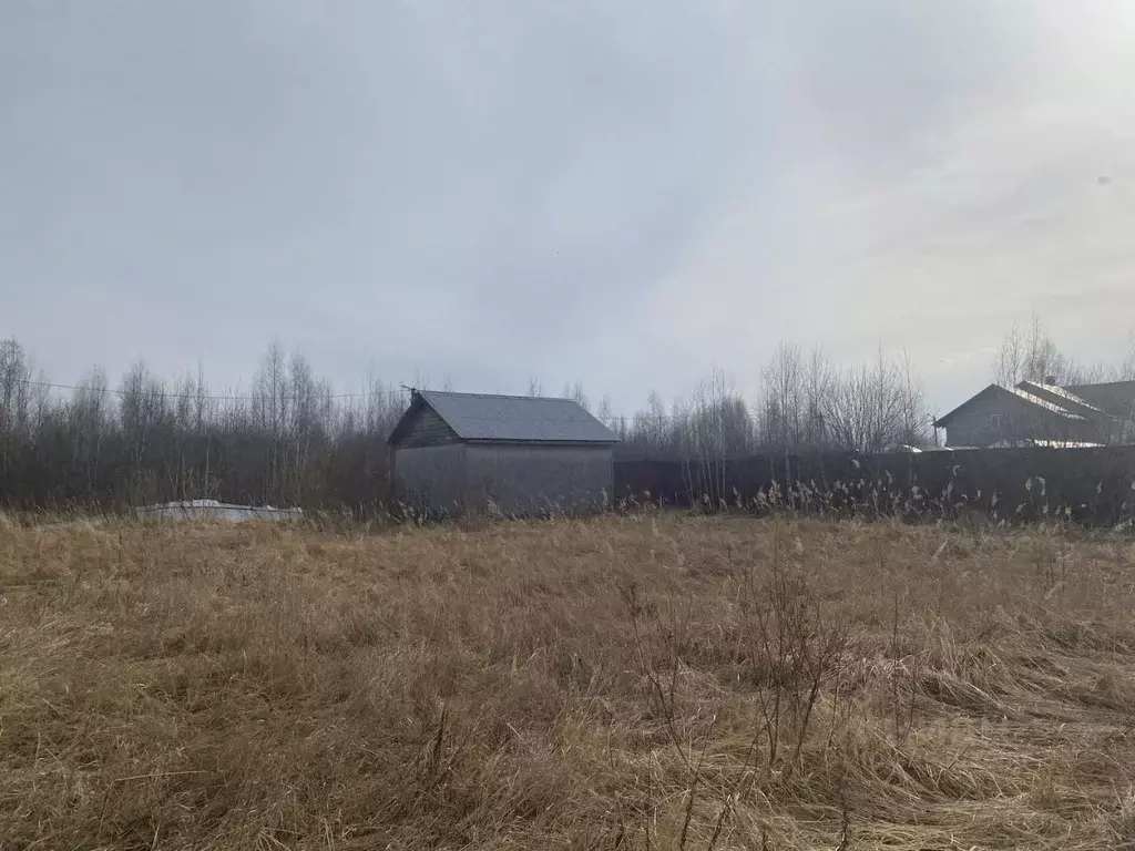 Участок в Нижегородская область, Выкса городской округ, с. Борковка ... - Фото 1