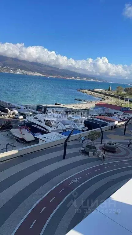 Помещение свободного назначения в Краснодарский край, Новороссийск ... - Фото 1