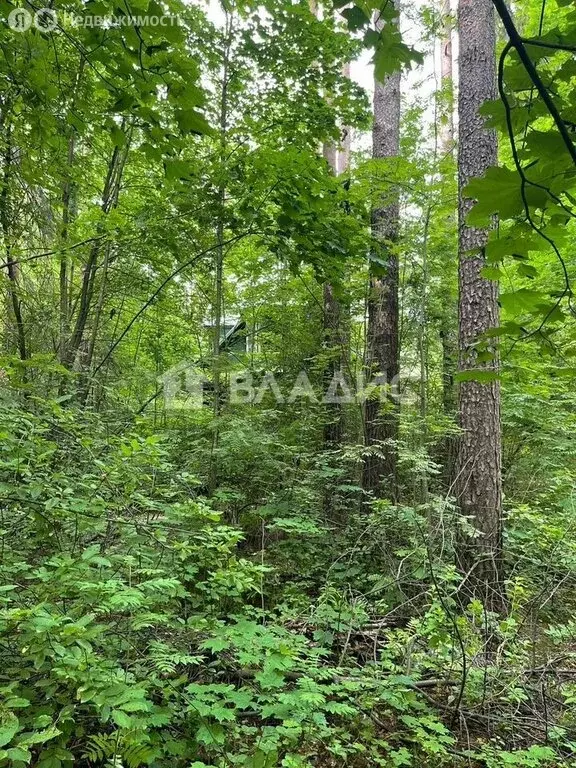 Участок в Всеволожск, улица Гоголя, 57 (20 м) - Фото 1