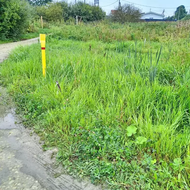 Дом в Ленинградская область, Ломоносовский район, д. Гостилицы, ... - Фото 2