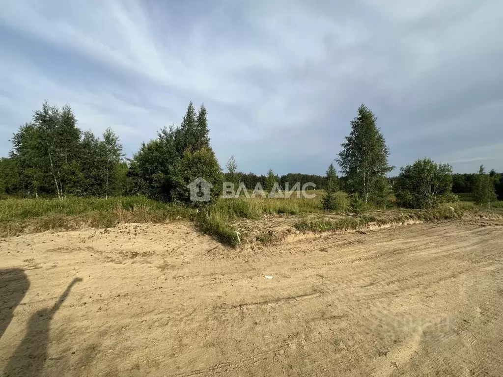 Участок в Ленинградская область, Всеволожский район, Колтушское ... - Фото 2