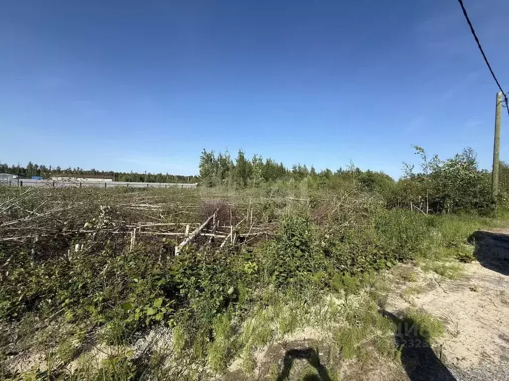 Участок в Ханты-Мансийский АО, Ханты-Мансийского муниципального района ... - Фото 2