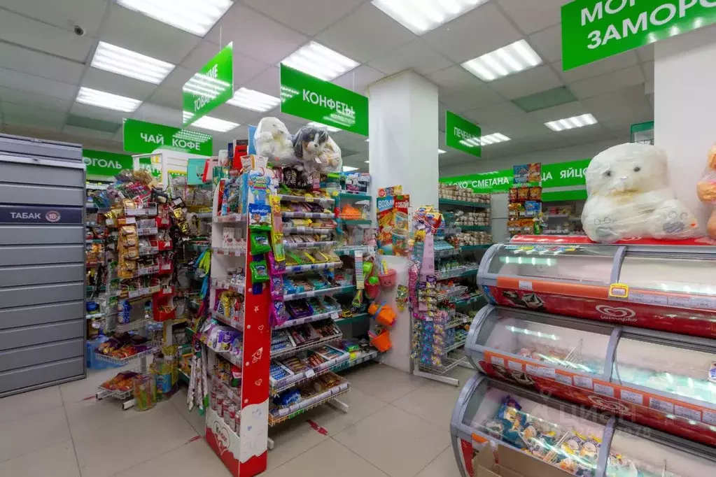 Помещение свободного назначения в Красноярский край, Красноярск наб. ... - Фото 1