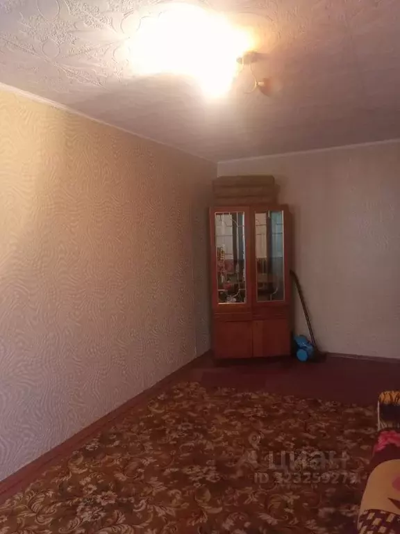 1-к кв. Алтайский край, Новоалтайск Дорожник мкр,  (32.0 м) - Фото 2