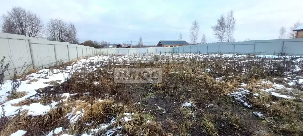 Участок в Московская область, Клин городской округ, Люпиновая Поляна ... - Фото 1