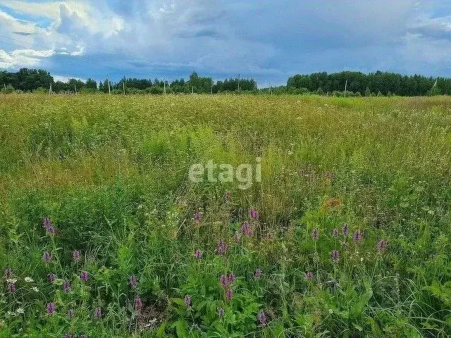 Участок в Калужская область, Калуга городской округ, д. Груздово  ... - Фото 0