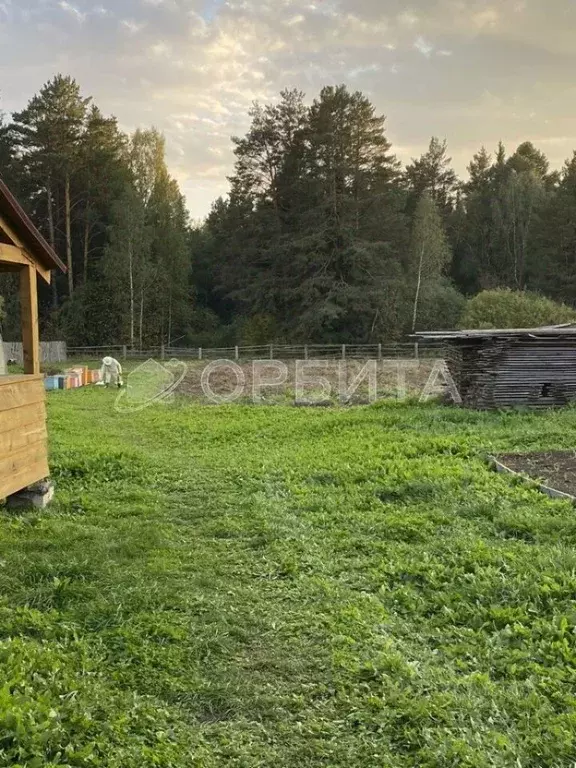 Дом в Тюменская область, Нижнетавдинский муниципальный округ, с. ... - Фото 1