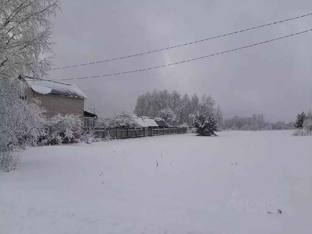 Участок в Московская область, Раменский городской округ, с. Речицы  ... - Фото 1