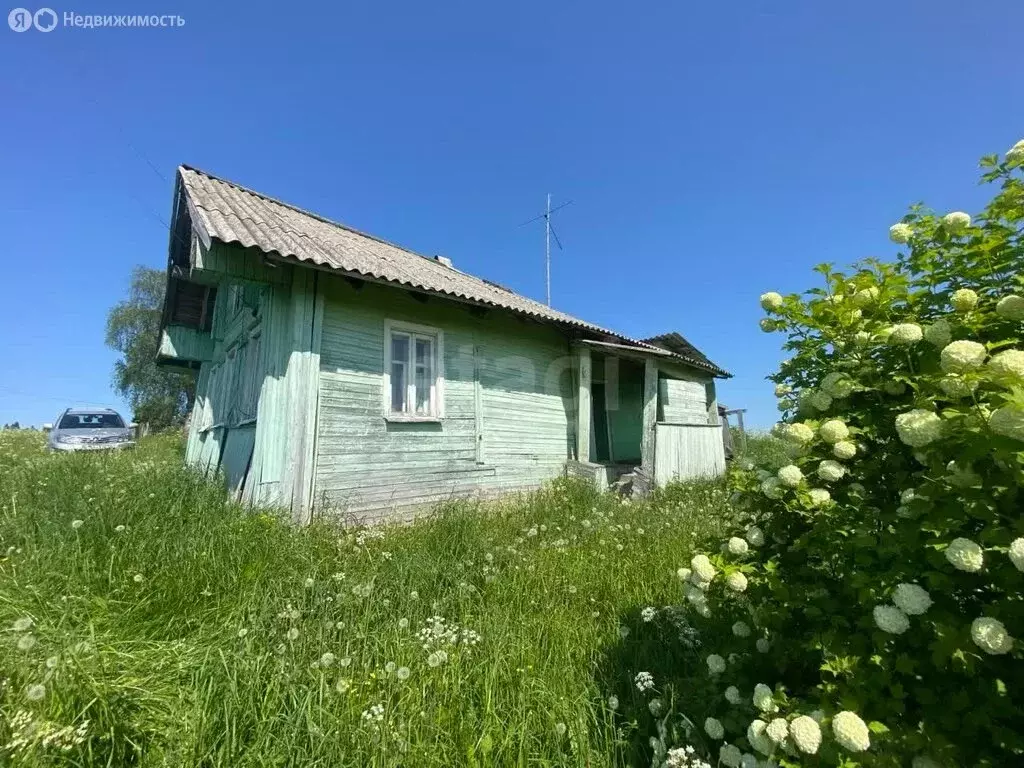 Дом в Ведлозерское сельское поселение, деревня Паннила (40 м) - Фото 1