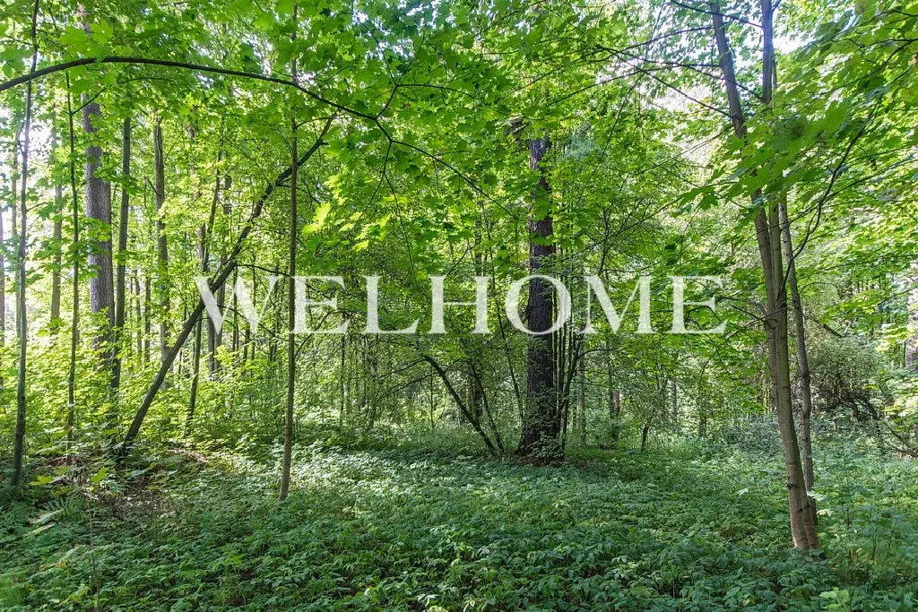 Продается участок в пос. Барвиха - Фото 1