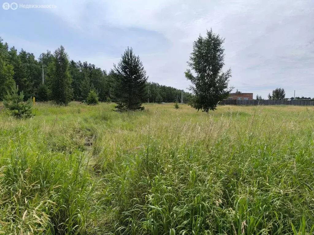 Участок в Усть-Заостровка, Запрудная улица (14.889999 м) - Фото 0