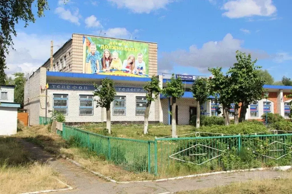 Помещение свободного назначения в Чувашия, с. Яльчики ул. Октябрьская, ... - Фото 1