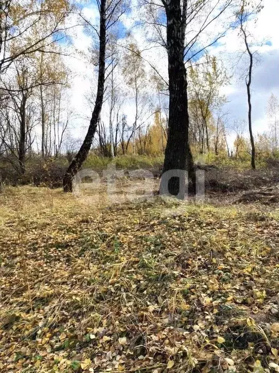 Участок в Тульская область, Тула Медвенка СНТ,  (11.1 сот.) - Фото 0