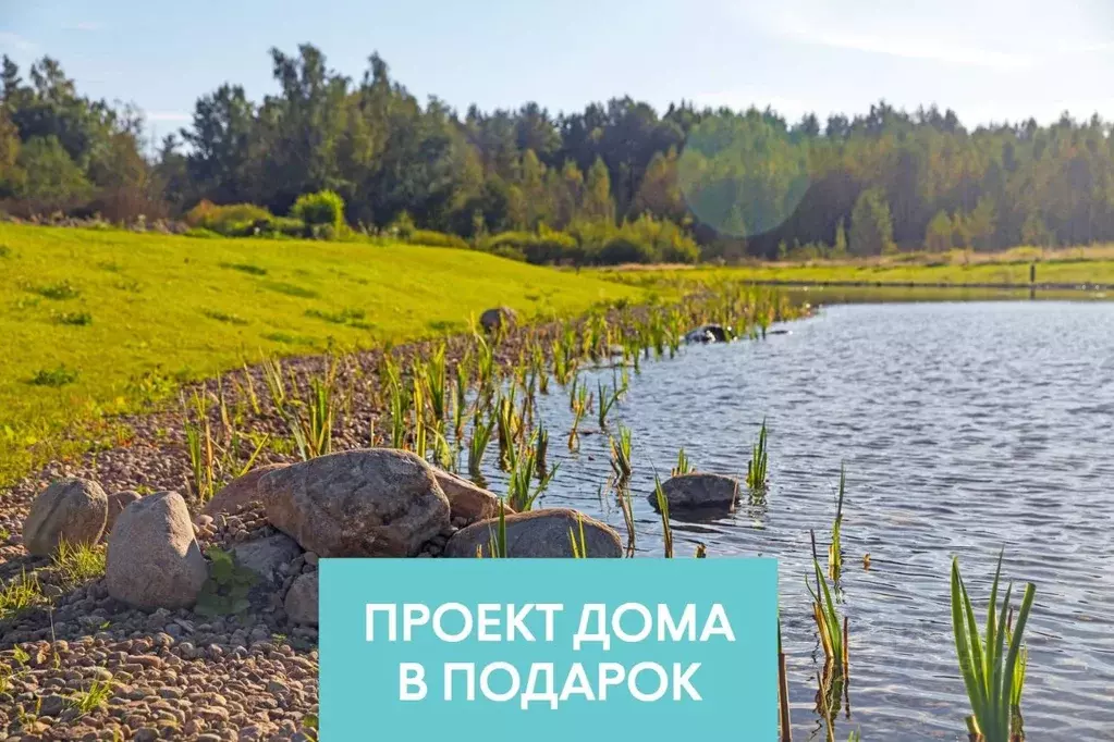 Участок в Ленинградская область, Выборгский район, Первомайское с/пос, ... - Фото 1