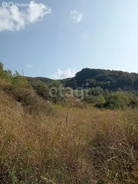 Участок в село Нижняя Шиловка, Светогорская улица (25 м) - Фото 0