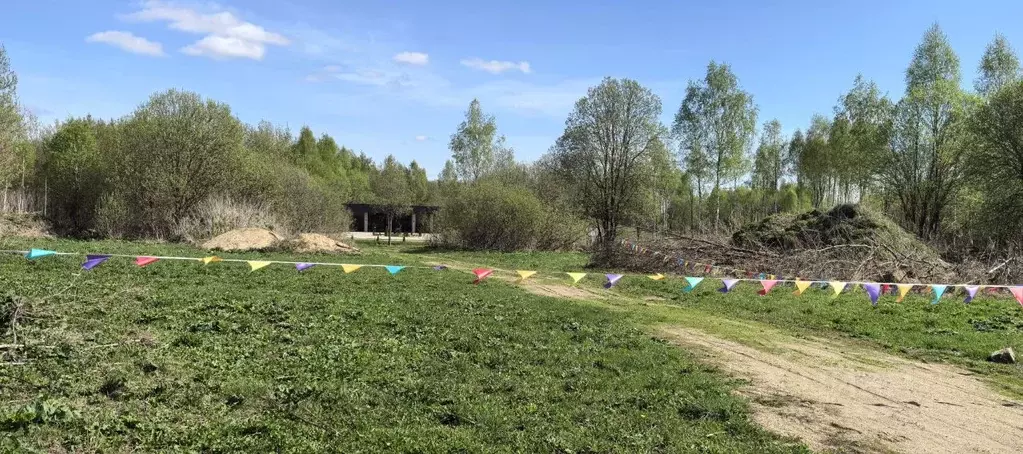 Участок в Смоленская область, Смоленский муниципальный округ, Парковая ... - Фото 2