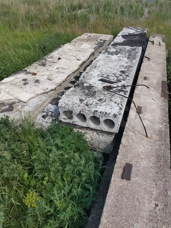 Участок 12 сот. (ИЖС) - Фото 1