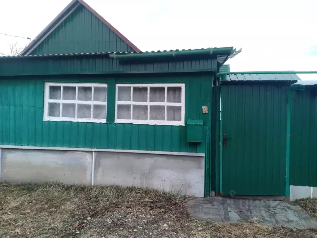 Дом в Саратовская область, Петровск ул. Радищева (31 м) - Фото 1