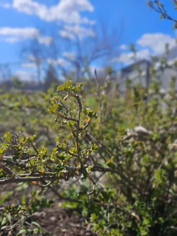Дом в Ульяновская область, Ульяновский район, Зеленорощинское с/пос, ... - Фото 1