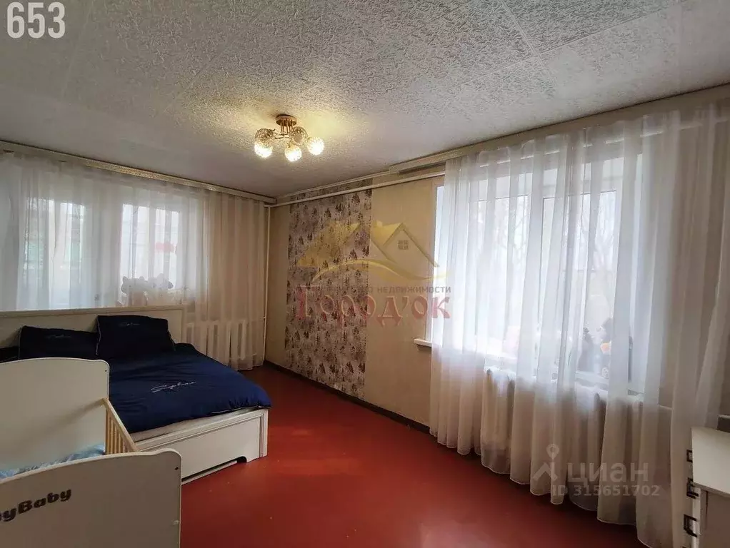 2-к кв. Воронежская область, Борисоглебск Пушкинская ул. (49.2 м) - Фото 1
