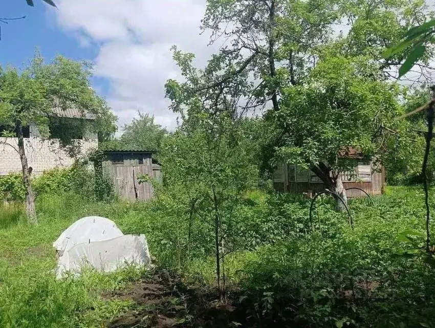 Участок в Брянская область, Брянск Коммунальник садовое общество,  ... - Фото 0