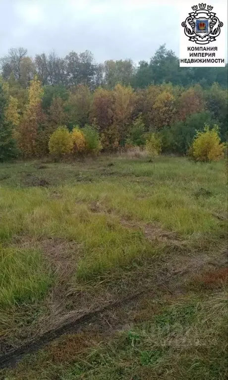 Участок в Белгородская область, Белгородский муниципальный округ, пос. ... - Фото 1