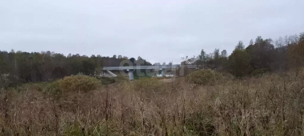 Участок в Псковская область, Порховский муниципальный округ, д. ... - Фото 1