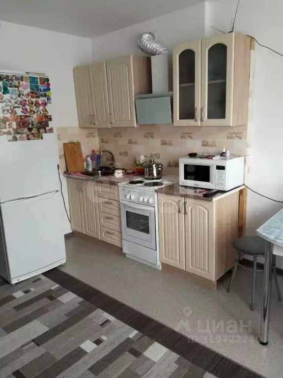 Студия Челябинская область, Южноуральск ул. Энергетиков, 7 (23.0 м) - Фото 0