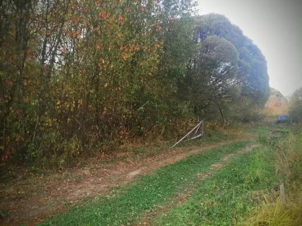 Участок в Новгородская область, Маловишерский район, Бургинское с/пос, ... - Фото 1