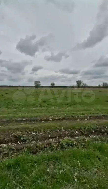 Участок 11,6 сот. (ИЖС) - Фото 0
