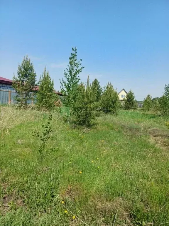 Участок в Курганская область, Кетовский муниципальный округ, с. ... - Фото 1
