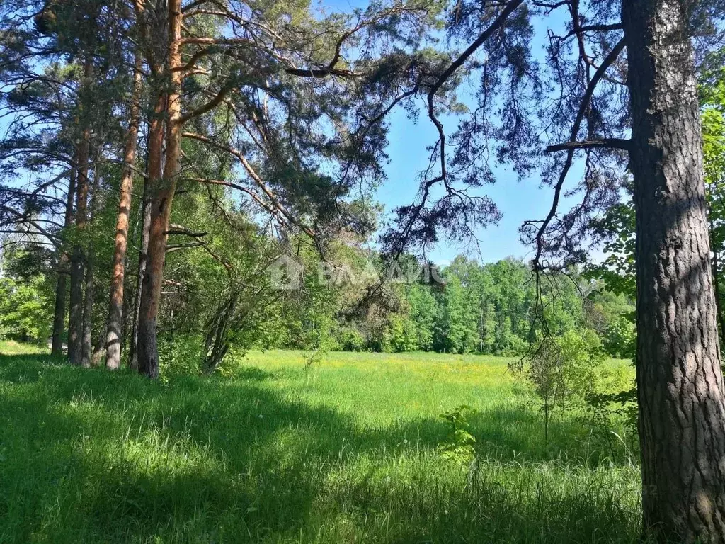 Участок в Московская область, Серпухов городской округ, д. ... - Фото 1