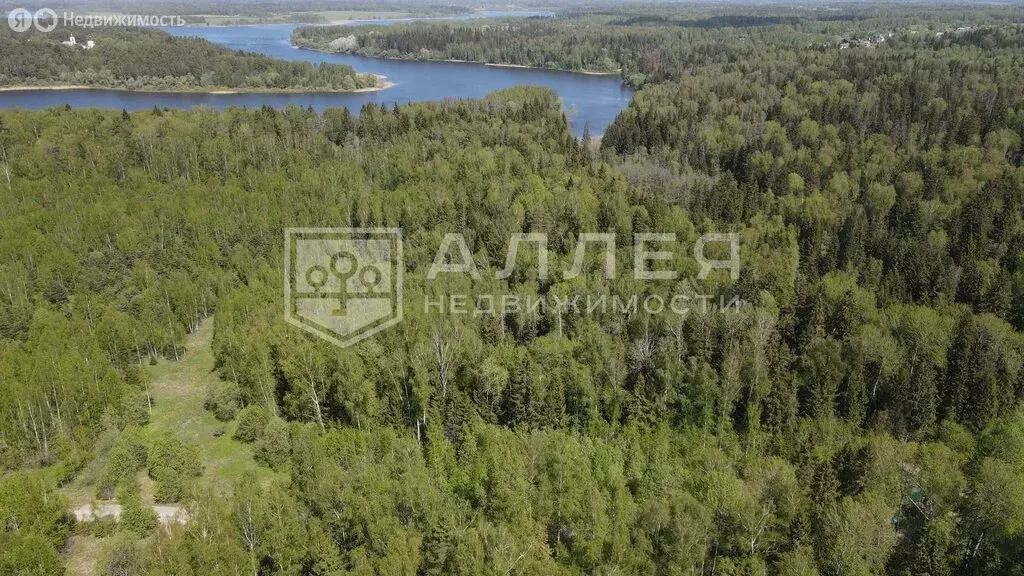Участок в Московская область, Рузский муниципальный округ, ДНТ Озерна ... - Фото 2